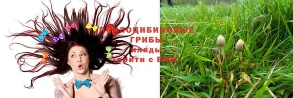 таблы Арсеньев